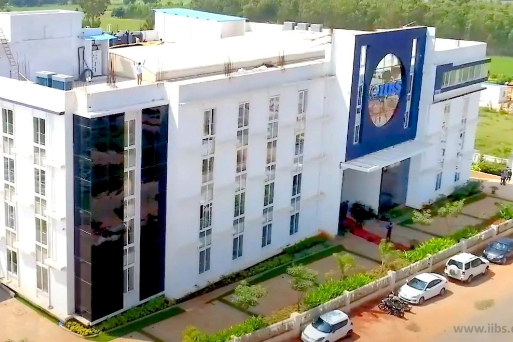 International Institute of Business Studies